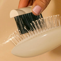 La brosse de nettoyage