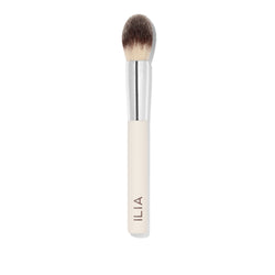 Precision Powder Brush