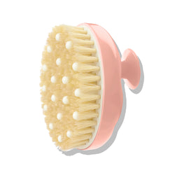 N°02 Brosse Corps Peaux Normales