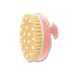 No. 02 Body Brush x Talm for Normal Skin