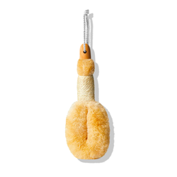Brosse Massage corps